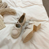 French Mary Jane Shoes Women's Summer 2025 New Shallow Thick Heel Single Shoe Bow With Skirt Jk Small Leather Shoes HZ1220