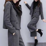 New Women's Clothing 2025 Autumn And Winter Two Sets Of Trousers With Trousers With Tyribs, Coat Broad Leg Trousers Casual Fashion Suit Women's Trend HZ1220