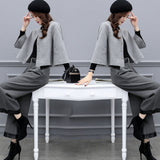 2025 New Women's Autumn And Winter Large-Size Two-Piece Trouser Hair, Short Coat Broad Leg Pants Casual Fashion Suit Women's Trend HZ1220
