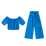 2025 New Women's Wide-Legged Trousers Commuting High-Waisted Solid-Colored Micro-Tape With Hanging Pants Casual Suit HZ1220