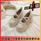 French Mary Jane Shoes Women's Summer 2025 New Shallow Thick Heel Single Shoe Bow With Skirt Jk Small Leather Shoes HZ1220