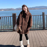 Autumn/Winter 2025 Brown Short Eco-Friendly Fur High Fashion Lazy Blouse HZ1208